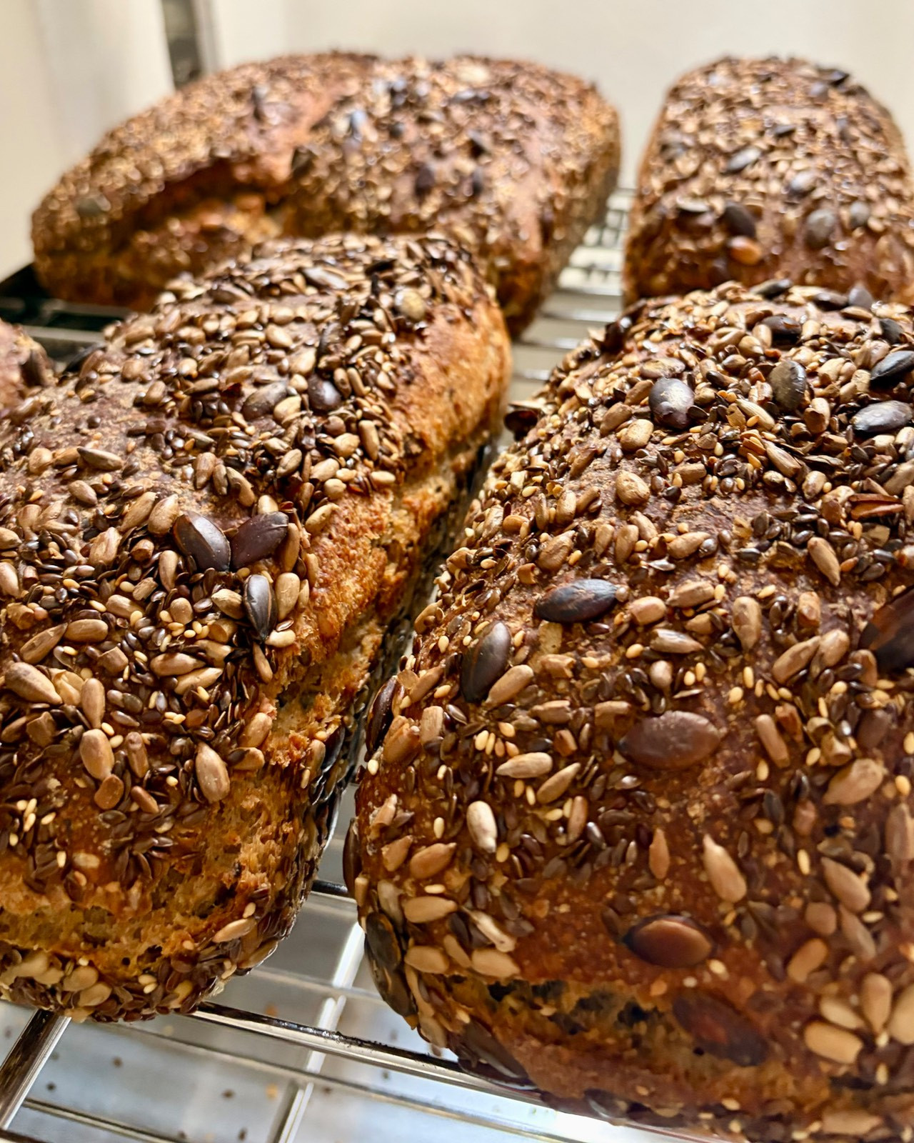 Dinkel Körner Kasten